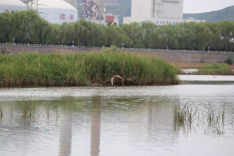 双滦区湿地公园