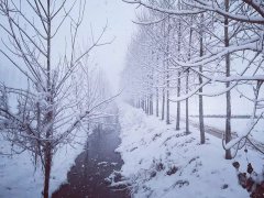 双滦区雪景