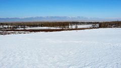 双滦区雪景